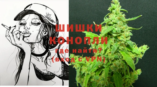 бошки Гатчина