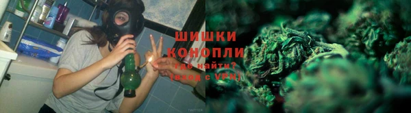 индика Переславль-Залесский