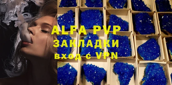 твердый Пересвет