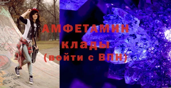 индика Переславль-Залесский