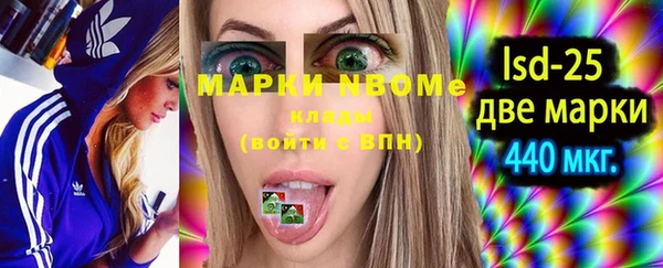 твердый Пересвет