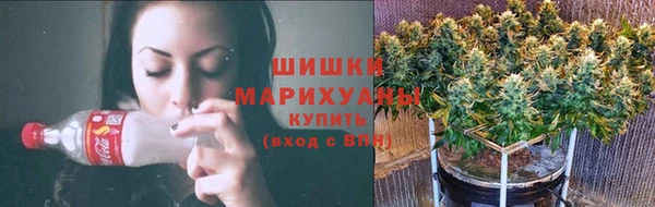 индика Переславль-Залесский