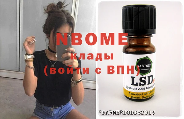 индика Переславль-Залесский
